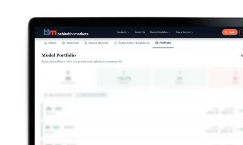 Model Portfolio screenshot